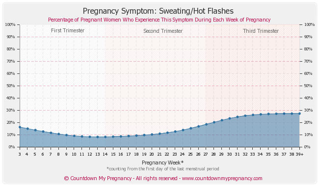 Low Grade Fever Pregnant 45