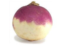 Your baby is the size of a turnip at 17 weeks pregnant - Pregnancy Week By Week