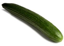 Your baby is the length of an english cucumber at 26 weeks pregnant - Pregnancy Week By Week