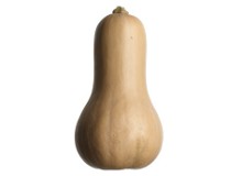 Your baby is the weight of a butternut squash at 29 weeks pregnant - Pregnancy Week By Week