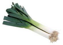 Your baby is the length of a leek at 38 weeks pregnant - Pregnancy Week By Week