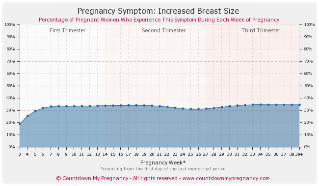 Increased Breast Size - Pregnancy Symptoms &amp; Discomforts ...
